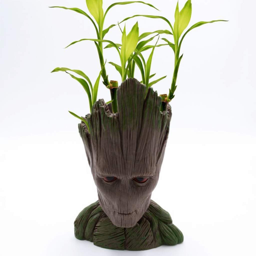 Groot - Deko- und Pflanztopf
